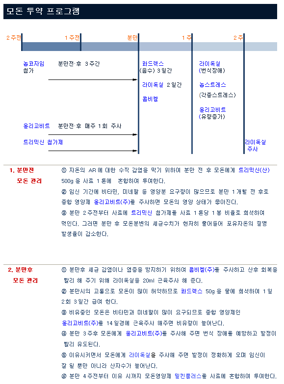 모돈 투약 프로그램