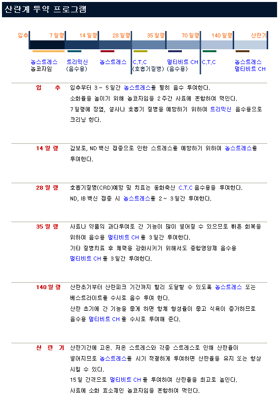 산란계 투약 프로그램