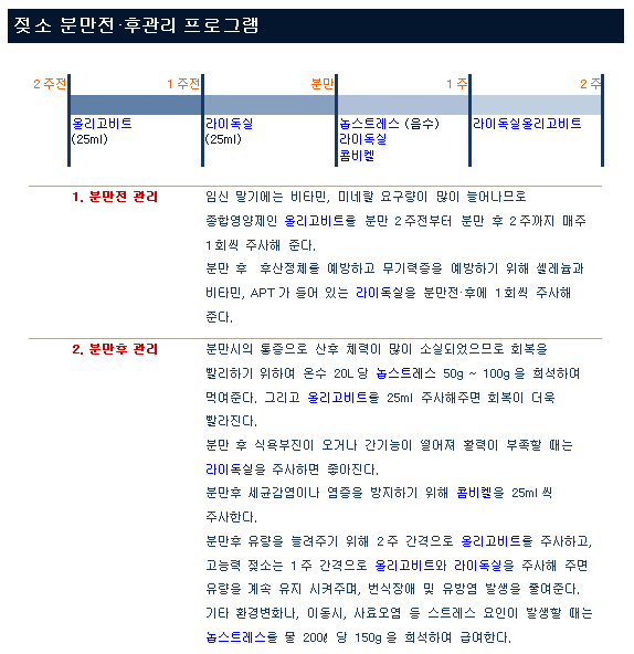 젖소 분만 전, 후 관리 프로그램