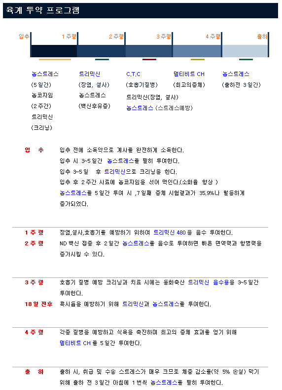 육계 투약 프로그램