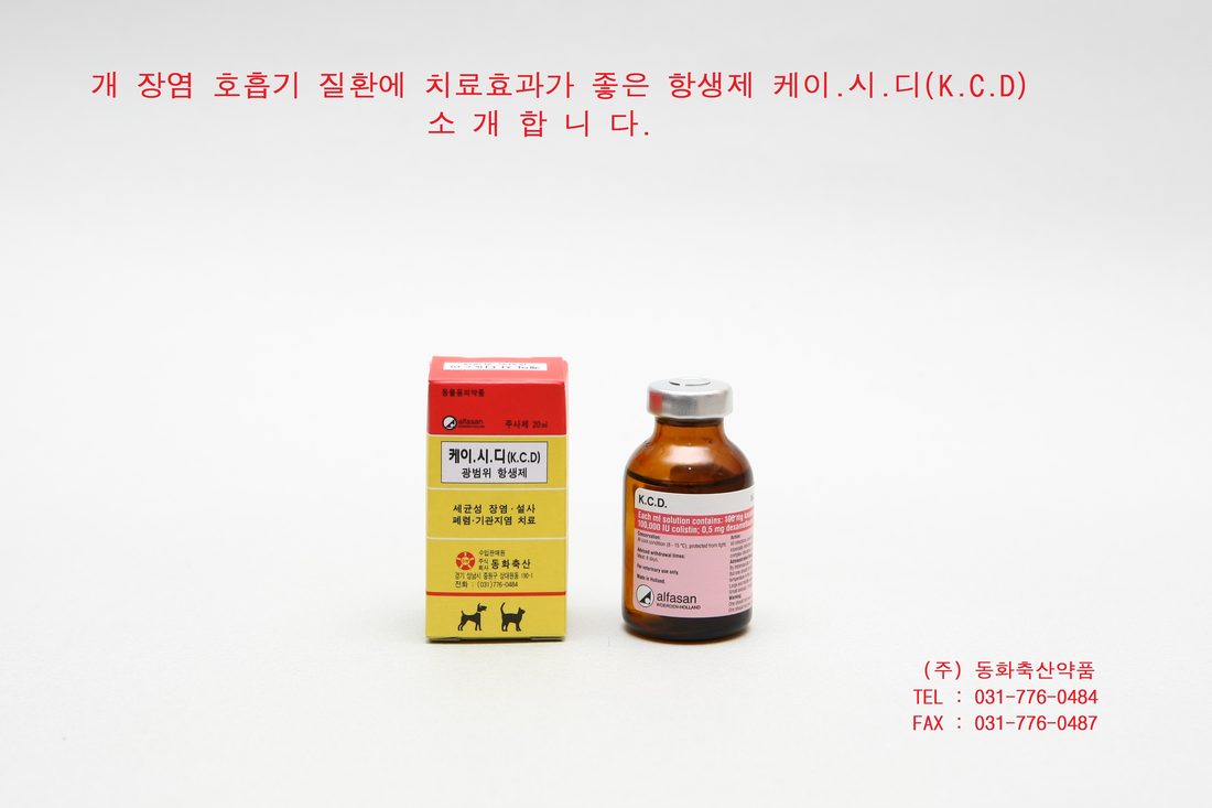 개 장염, 호흡기질환에 효과가 좋은 항생제