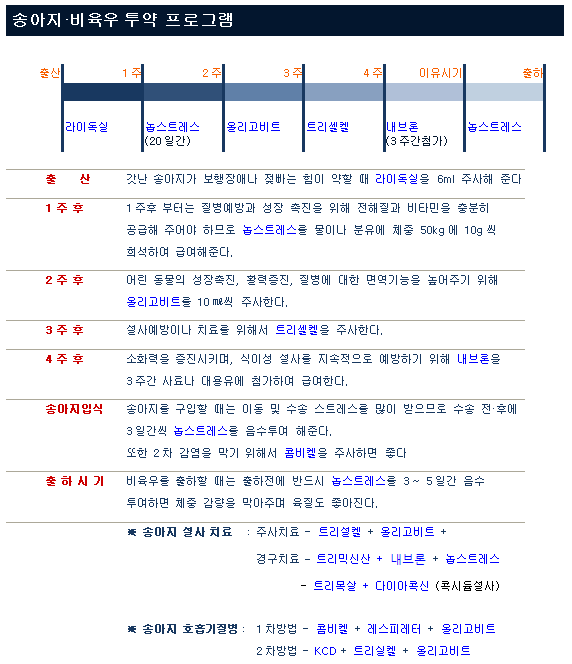 송아지, 비육우 투약 프로그램