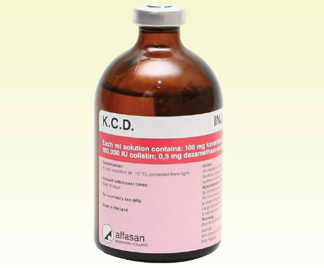 K.C.D