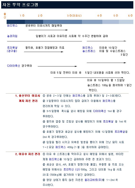 자돈 투약 프로그램
