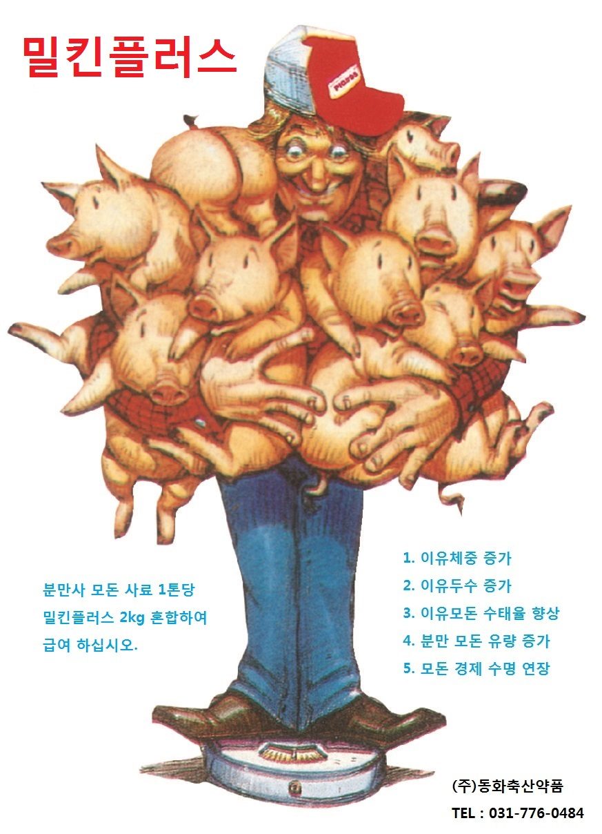 분만모돈 유량증가, 이유후 수태율 향상